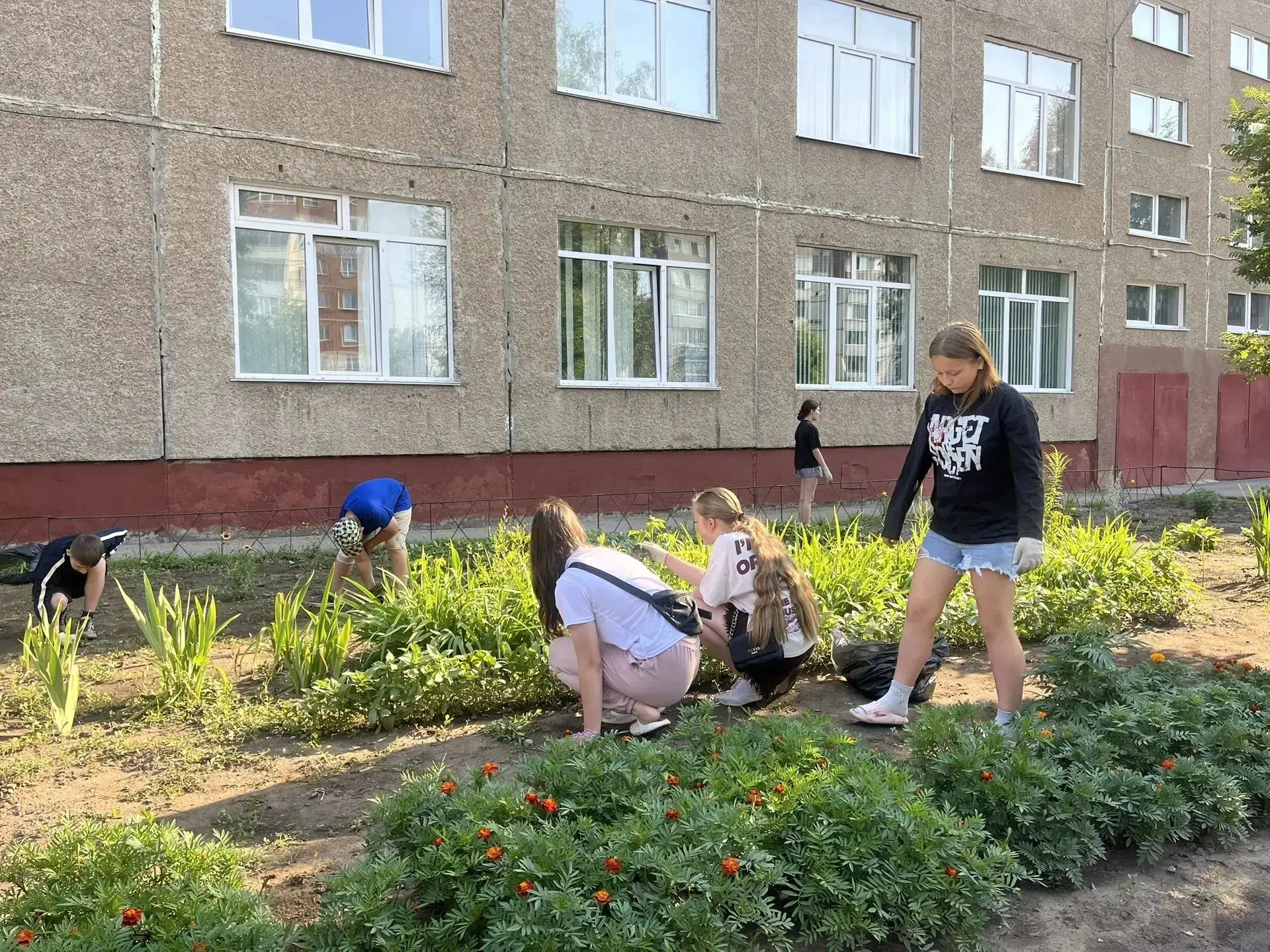 Летняя практика