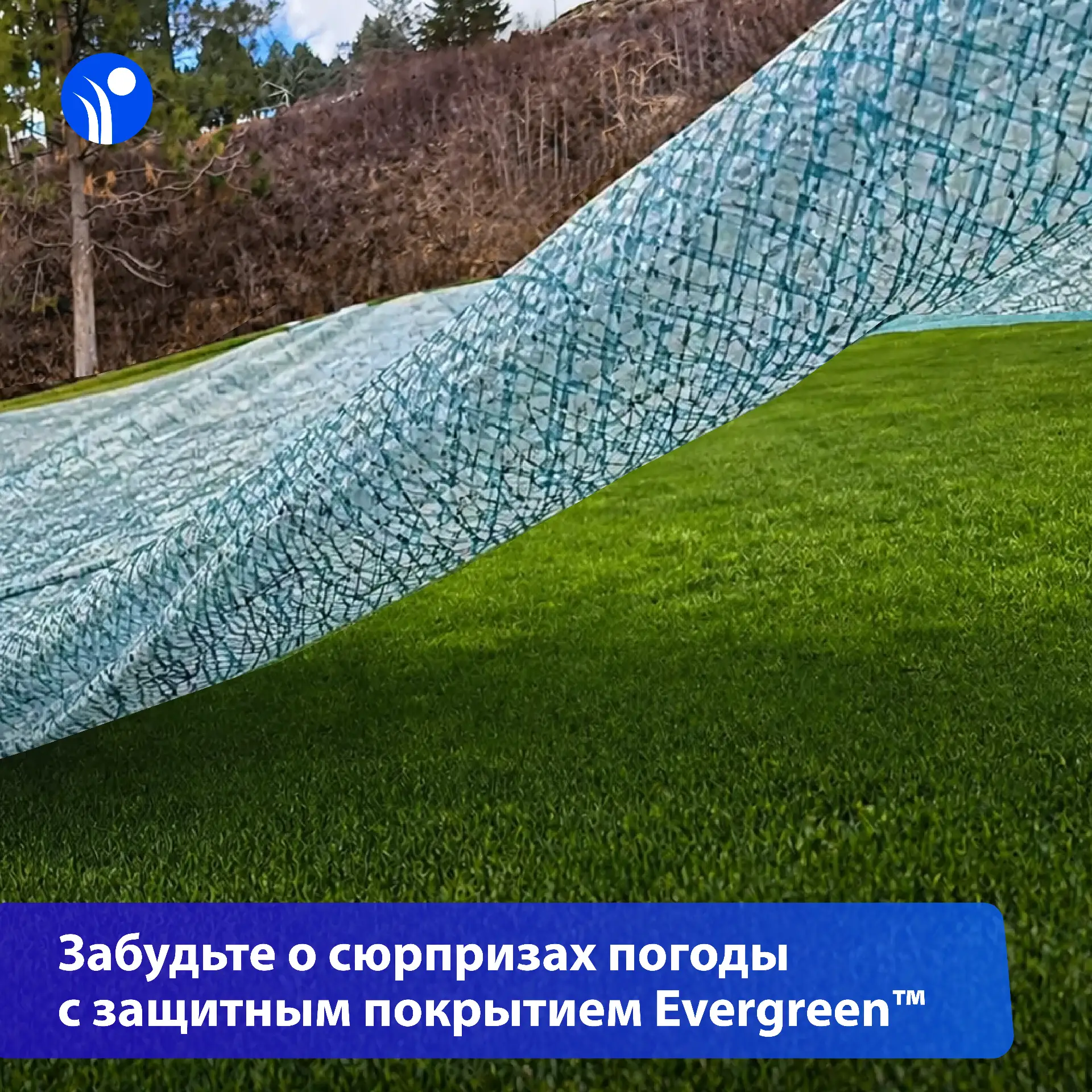 🌨 Ждали весну, а в мае пошёл снег?