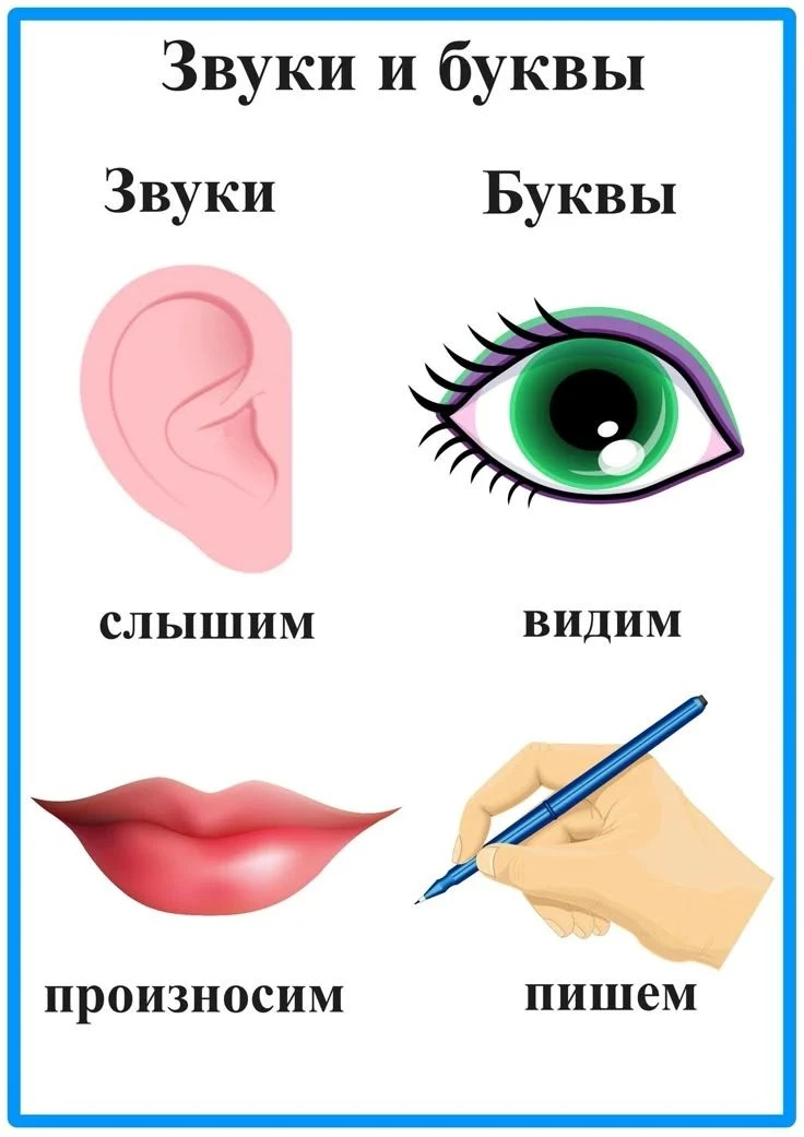 🔊 ЗВУК ≠ БУКВА: почему не стоит торопить события в 3–4 года