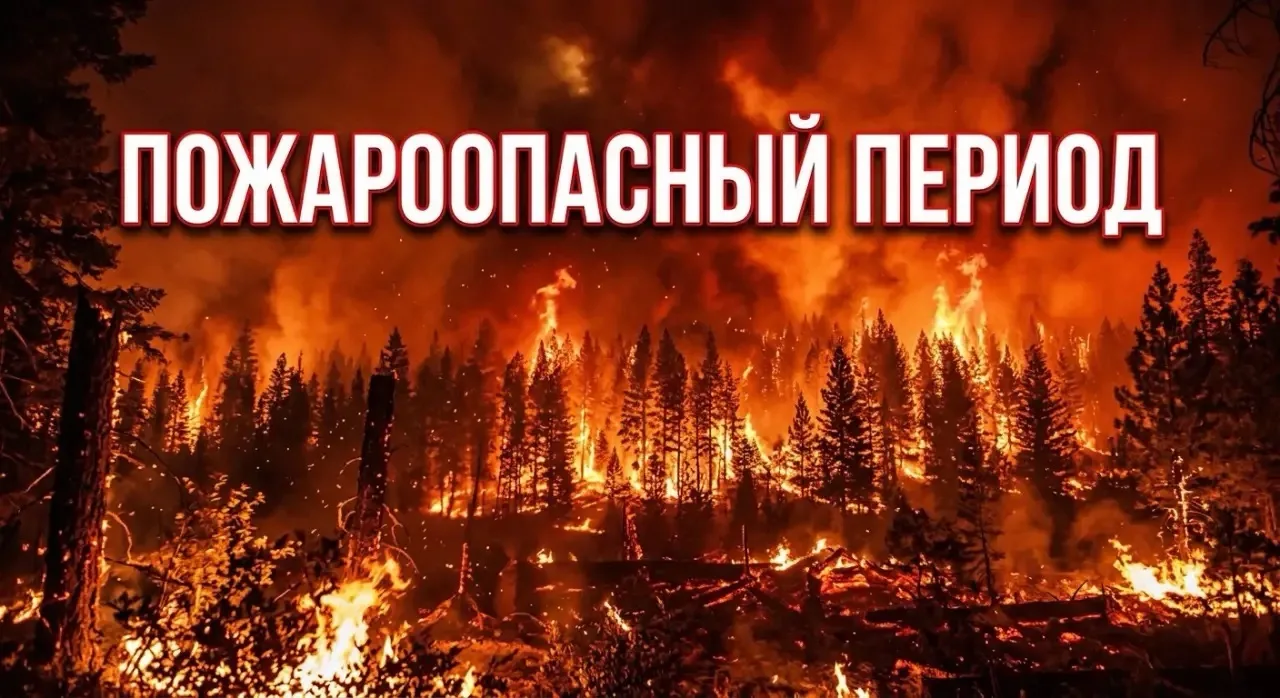 Уважаемые жители Читинского округа!