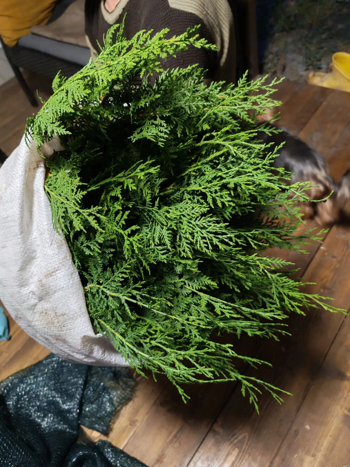 🌿УПАКОВКА ЗАКАЗОВ,  габариты всегда разные