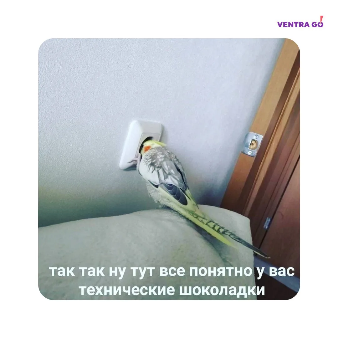 ⚠️Сегодня – 19 августа, с 23:00 по МСК, запланированы технические работы. По данным ФНС...