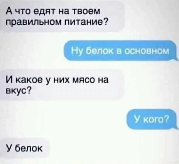 Беседы о ПП🤣😅