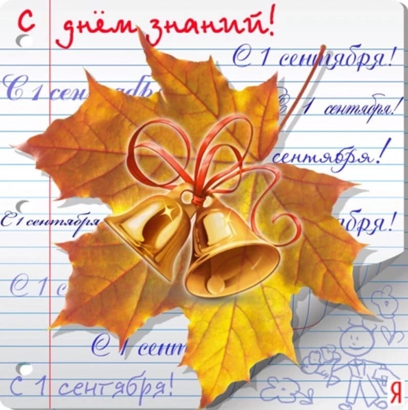 Друзья! С Днём знаний! 🍂📚
