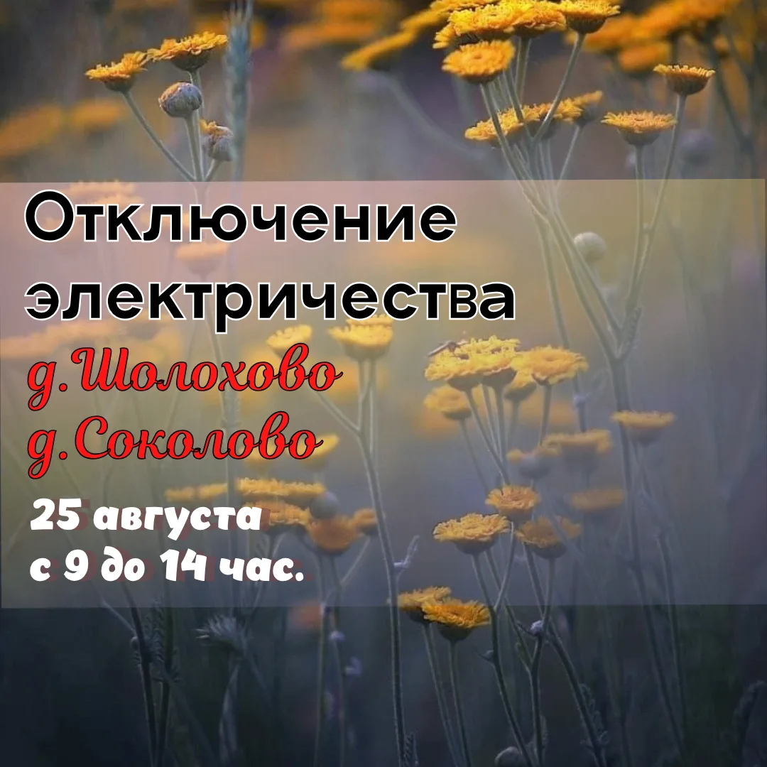 Внимание!