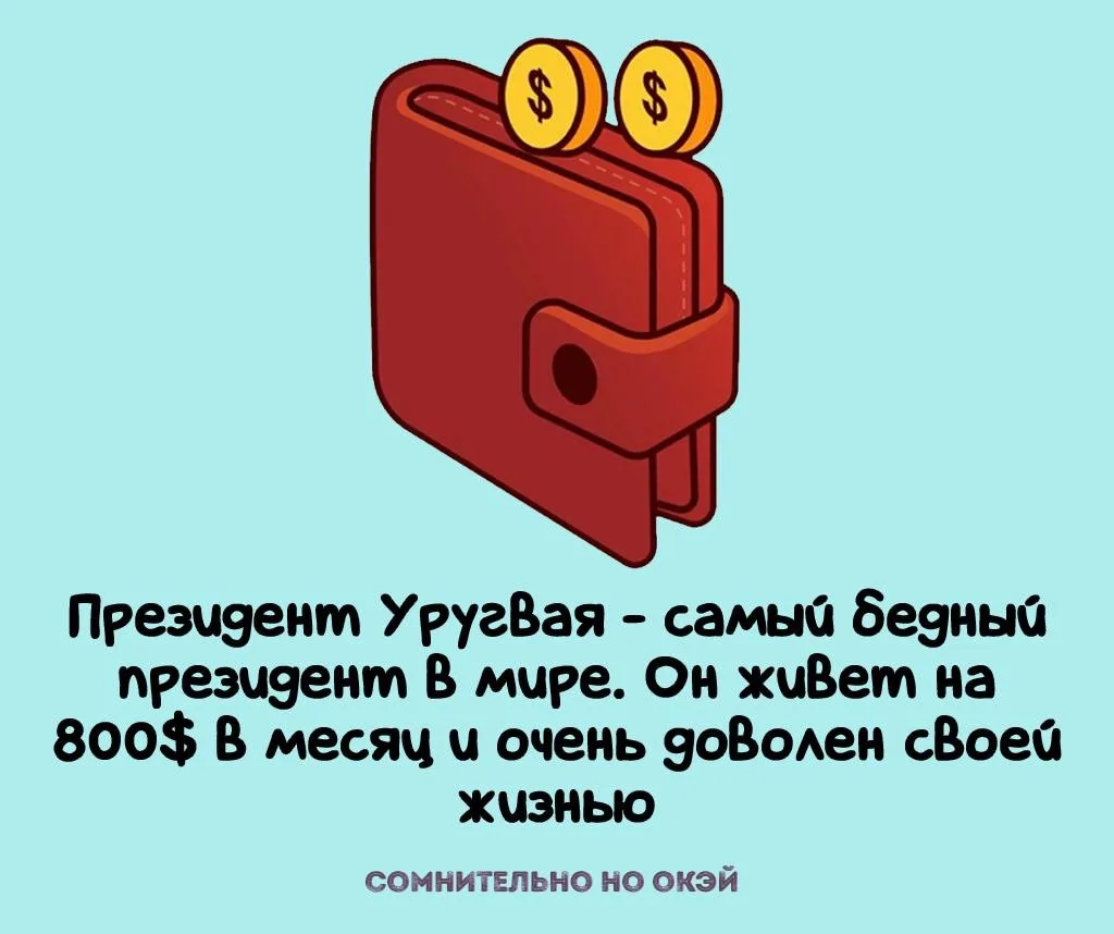 Признавайтесь, знали?