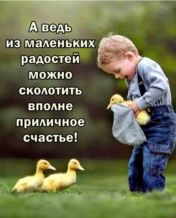 Цитаты жизни