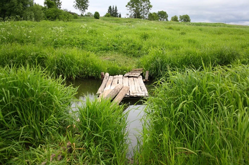 Вода из природных источников — дар природы, но всегда ли она безопасна?