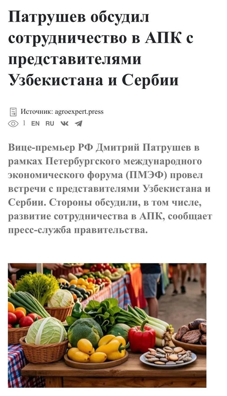 Патрушев обсудил сотрудничество в АПК с представителями