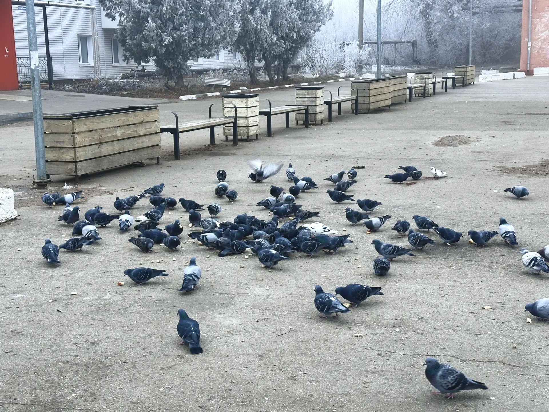 ❄️В ночные и утренние часы 17 сентября 2026 года местами на территории Тульской области...
