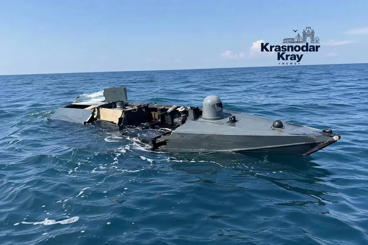 🚨 На Черноморском побережье уничтожили шесть безэкипажных катеров