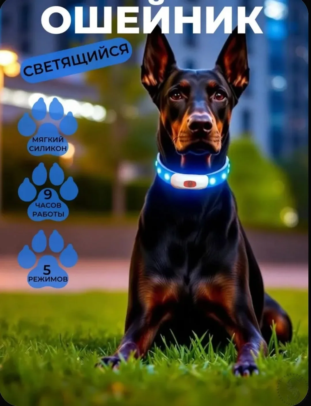 https://vk.com/photo-184814919_492920656
