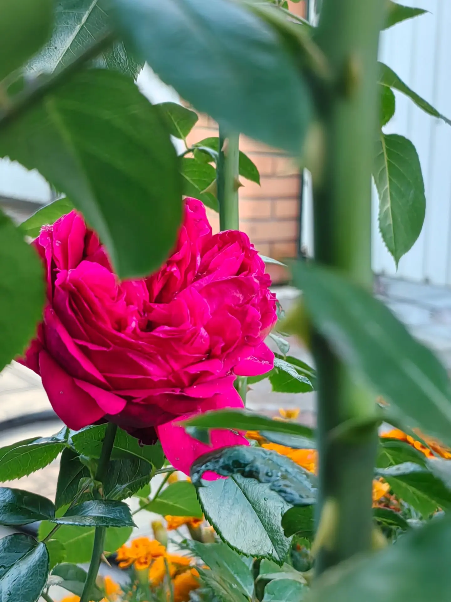 Көзнең беренче шимбә иртәсе хәерле булсын, безне карап баручы дусларыбыз 🕊️🌥️🍂