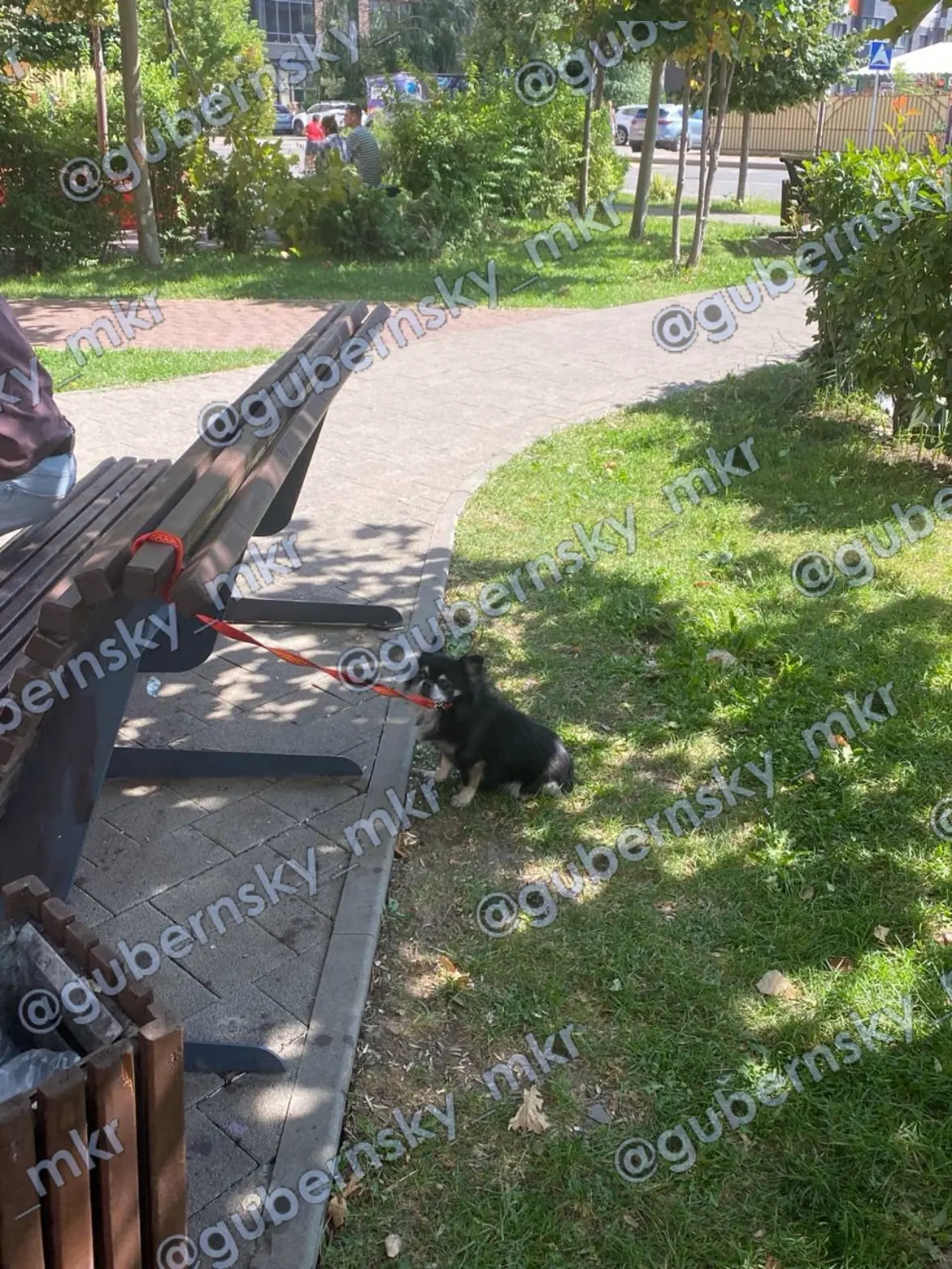#соседипишут