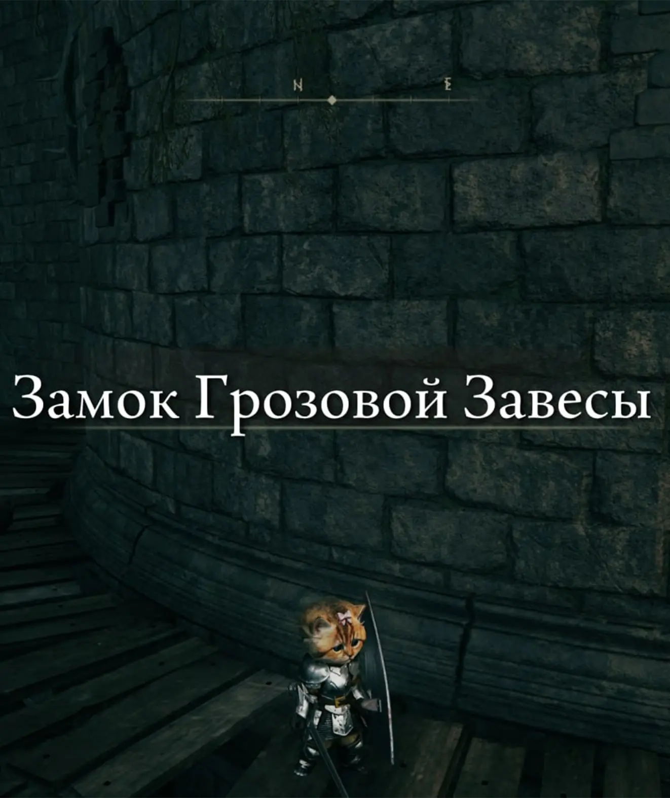🎮 Для Elden Ring вышел мод с кошкой вместо Погасшего