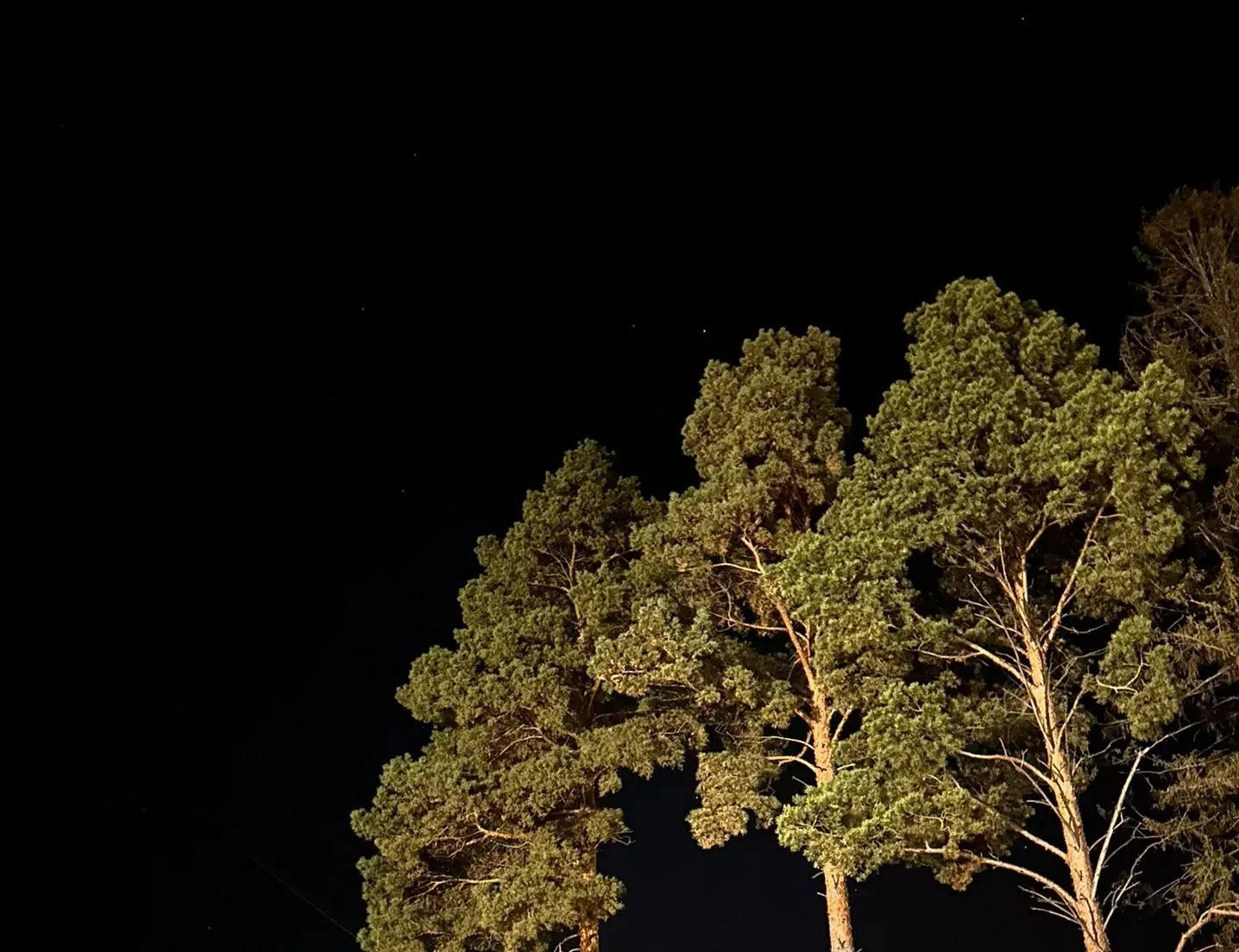 Доброй ночи, Ревда 🌙