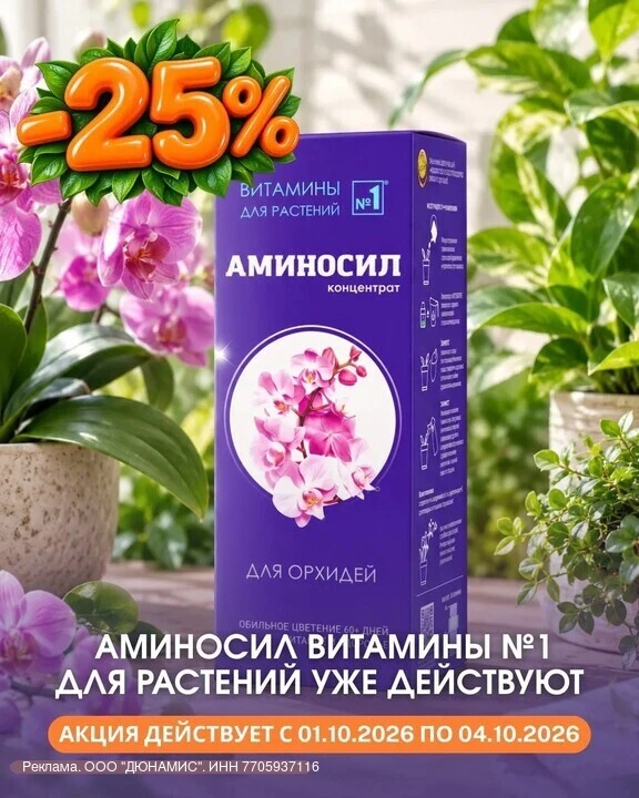 Помощь комнатным растениям осенью🪴