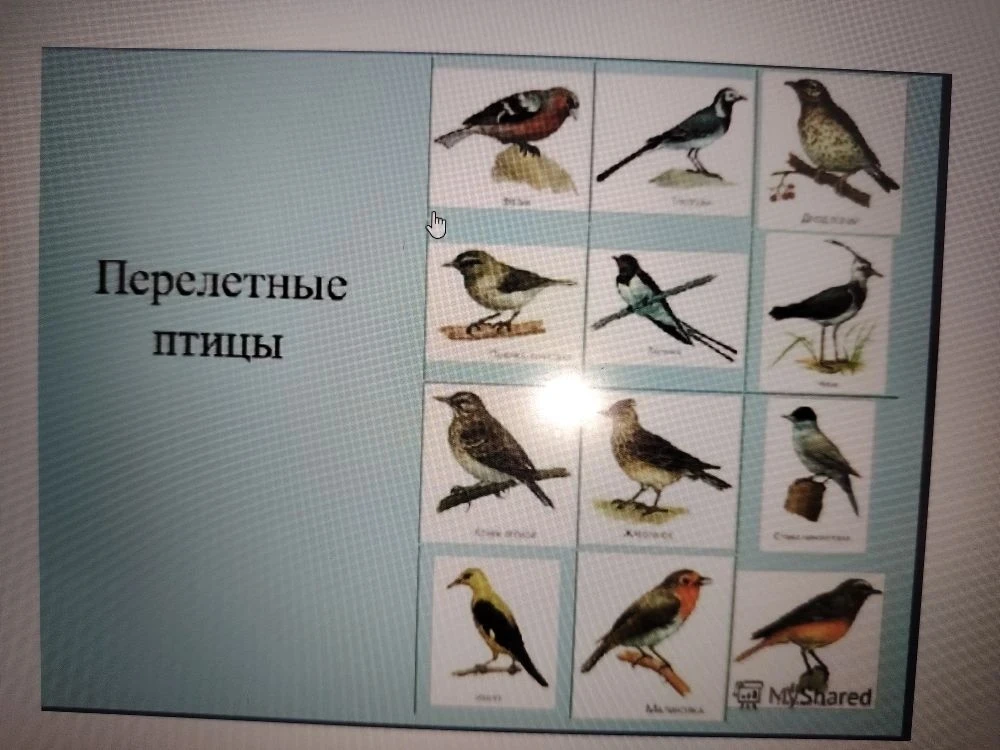 Сегодняшний день в нашем лагере был невероятно насыщенным и полезным! Начался он с бодрящей зарядки.