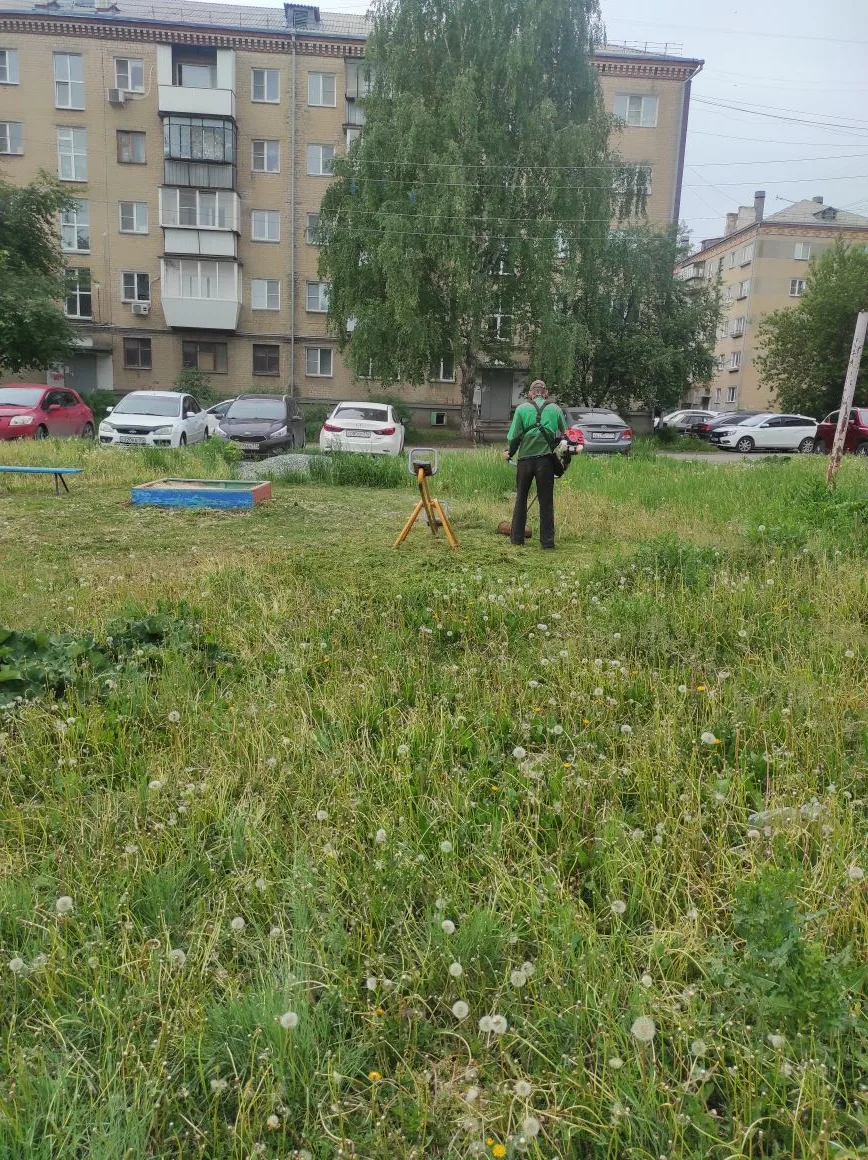 С. Кривой 11а, 13а, 13 кошение травы, маслянная окраска МАФ