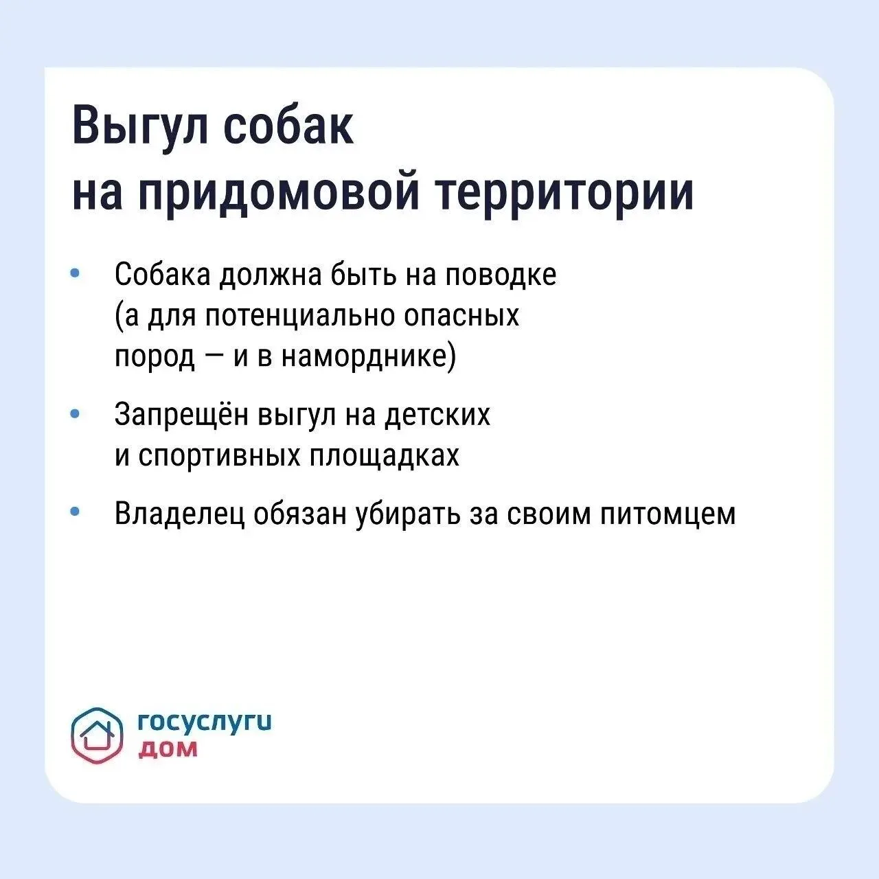Как владельцам собак не ссориться с соседями из‑за уборки во дворе  С приходом тепла во дворах появл