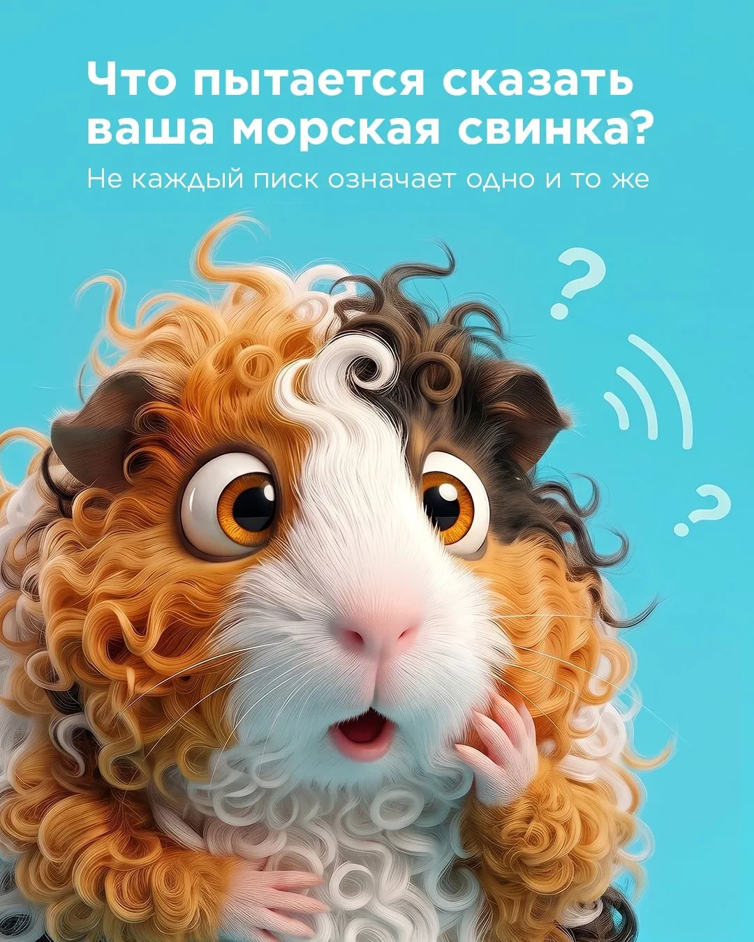 А вы знаете, что означают звуки вашей морской свинки?