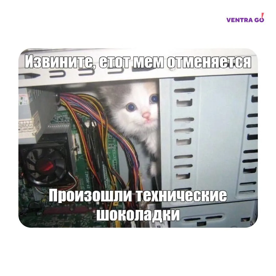 ⚙️На стороне ФНС проводят плановые технические работы  Начнутся они сегодня — 6 марта с 22:00 (по МС