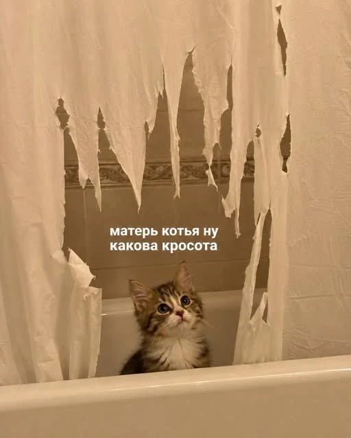 ПЕРВЫЙ МЕМНЫЙ