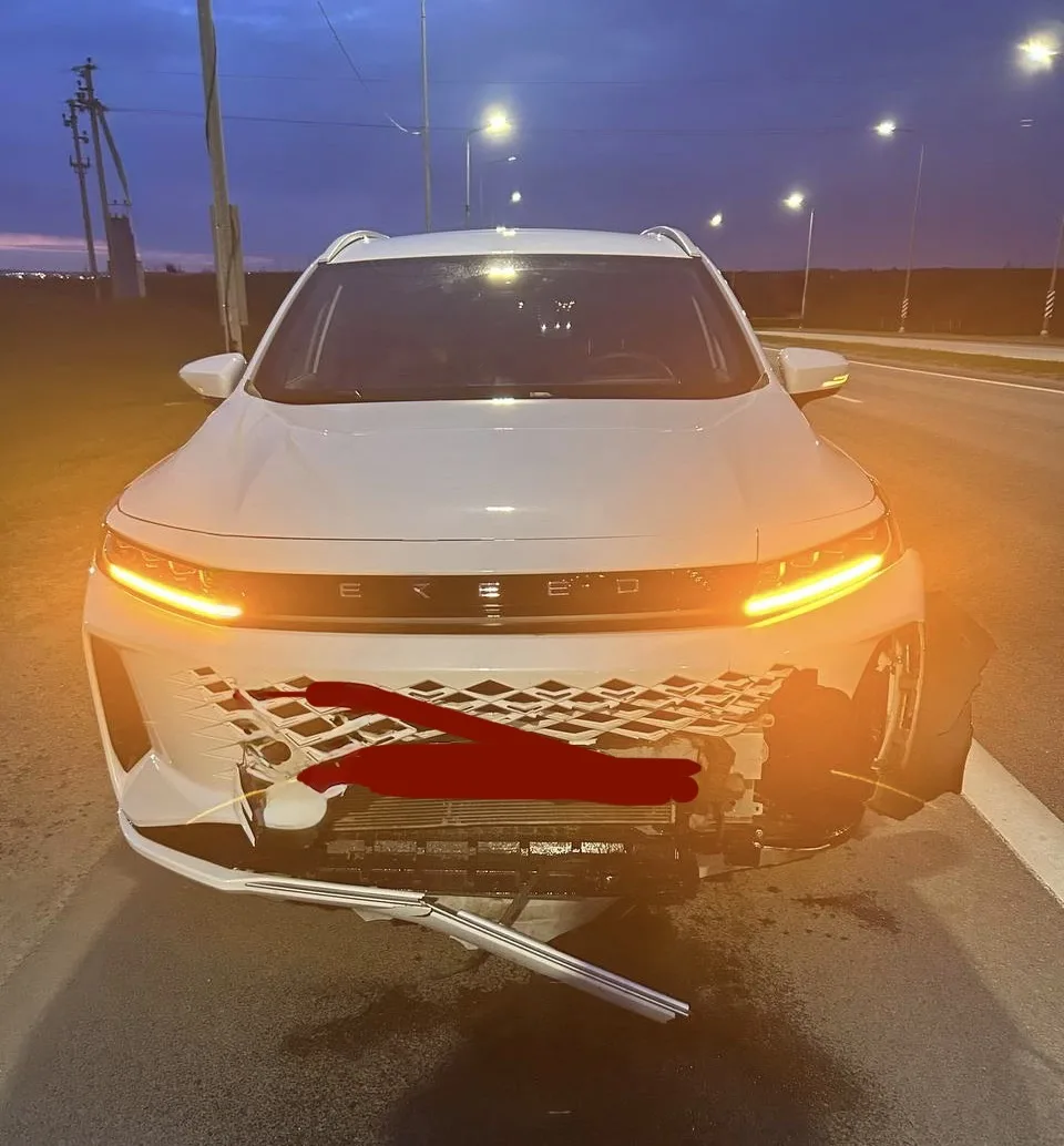 🦌 Один миг — и обычная поездка превращается в ДТП