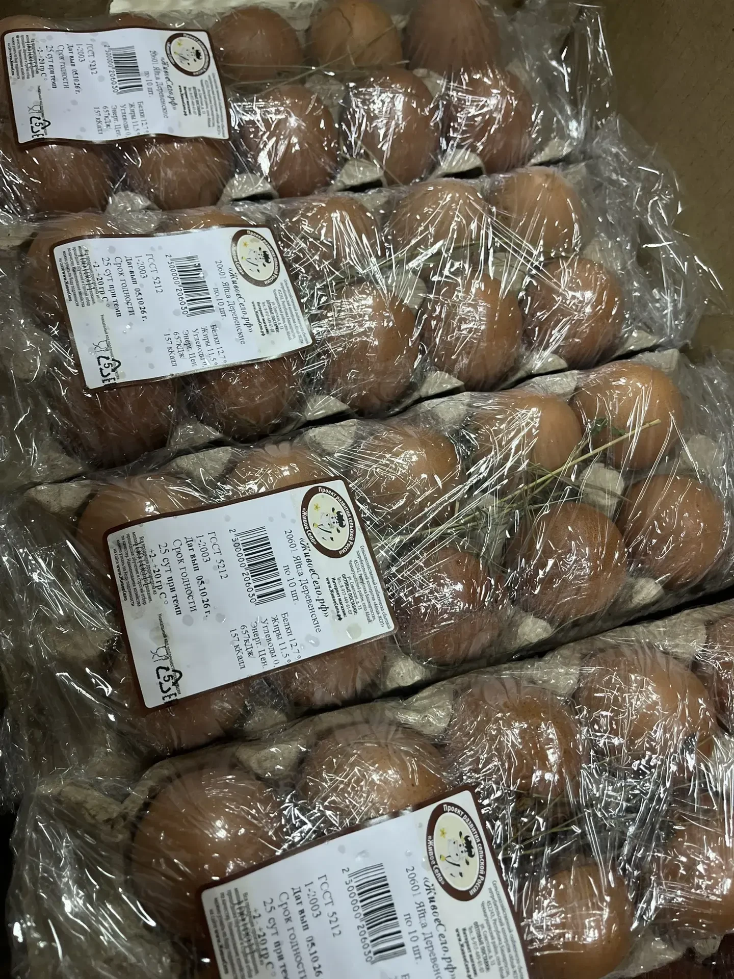 Доброе утро! ☀️ Желаем всем лёгкой и продуктивной недели.