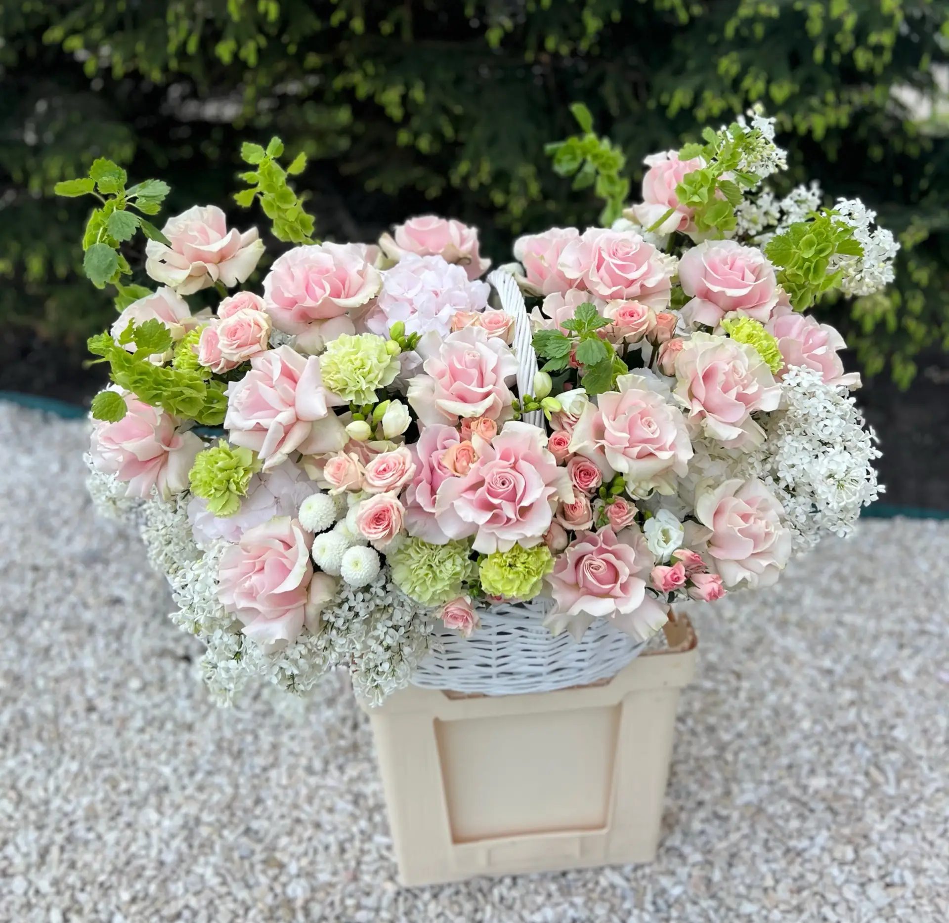 Добрый день ☀️

💐Актуальный прайс на 22.05 - 27.05

Розы Эквадор:
🌹40 см - 150 ₽
🌹50 см - 170 ₽
�