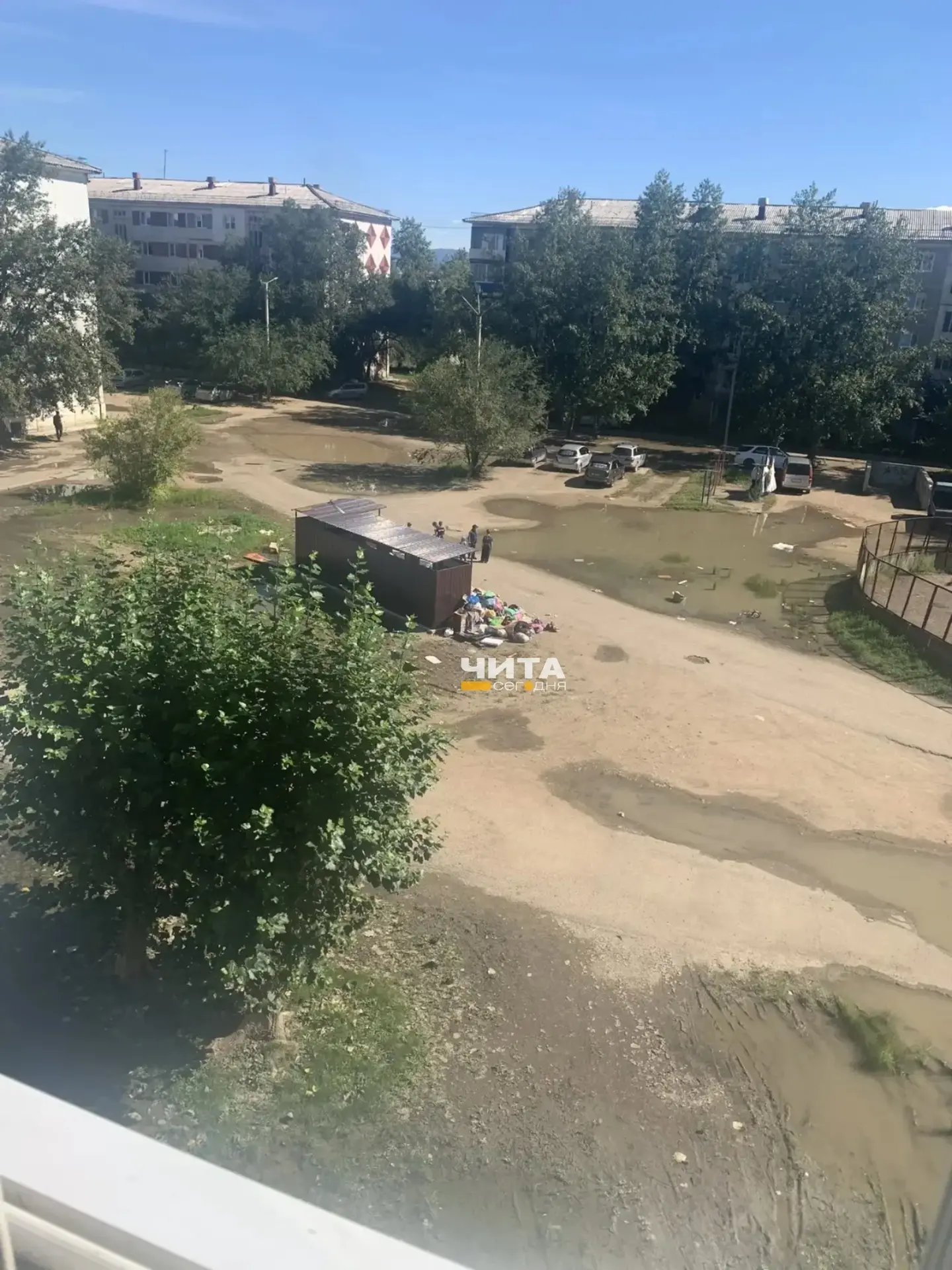 Контейнеры есть, вывоза нет: два читинских двора превратились в свалки