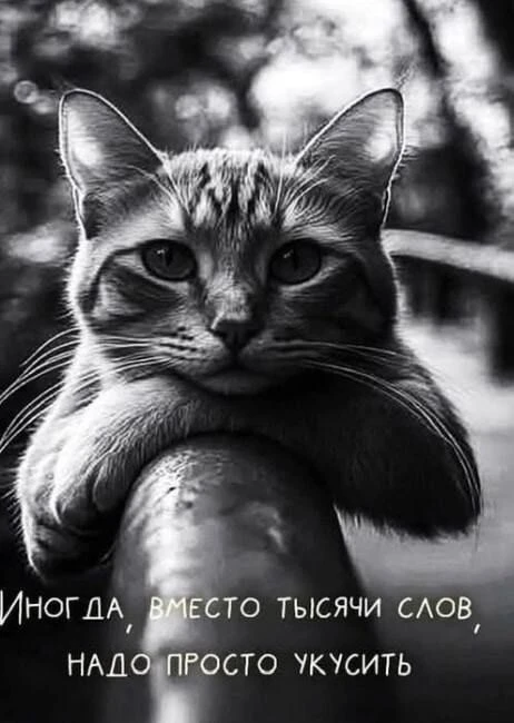 Фото