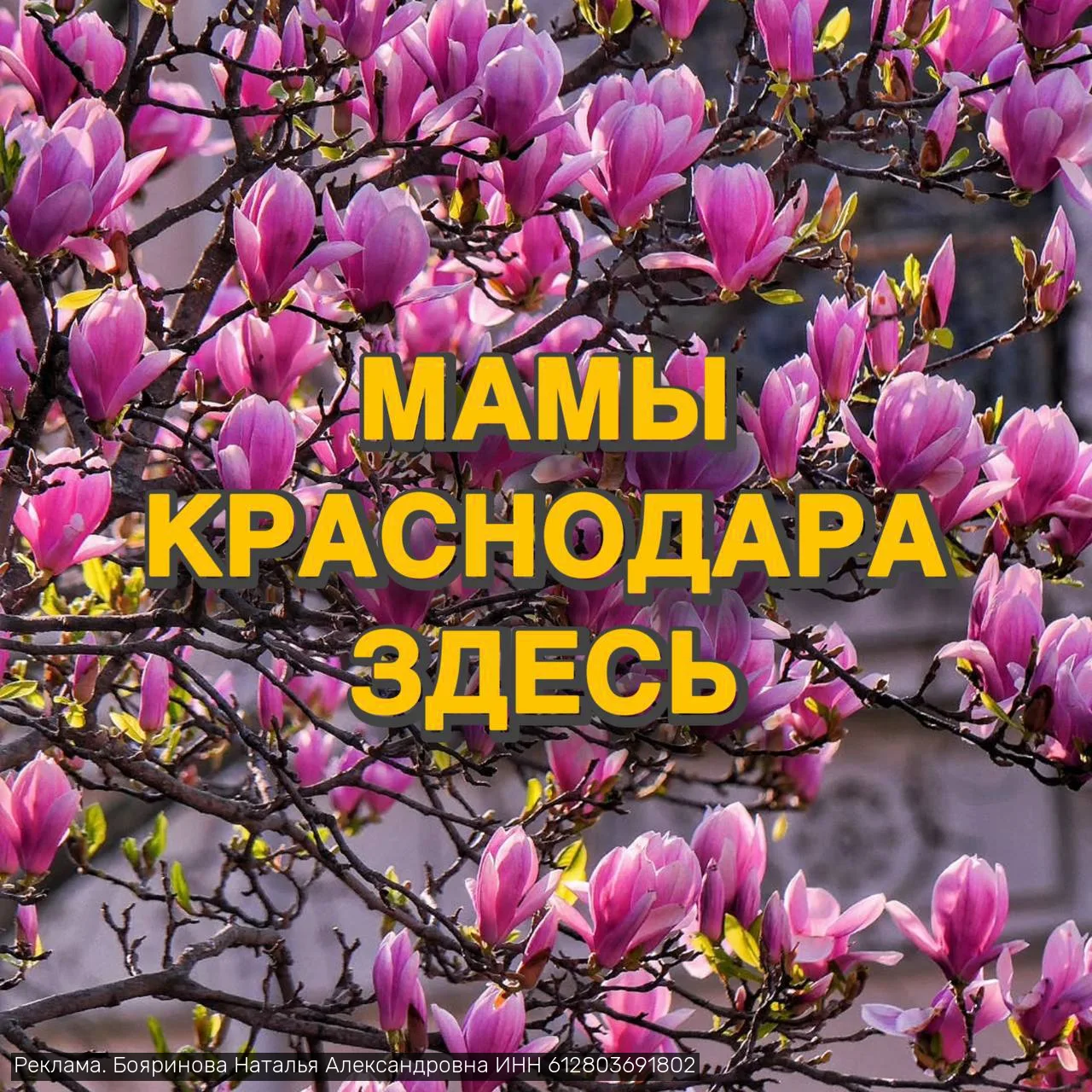 Канал, который объединяет всех мамочек Краснодара теперь в Мax 😍