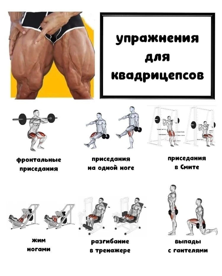 Подпишись на программы тренировок 🔥