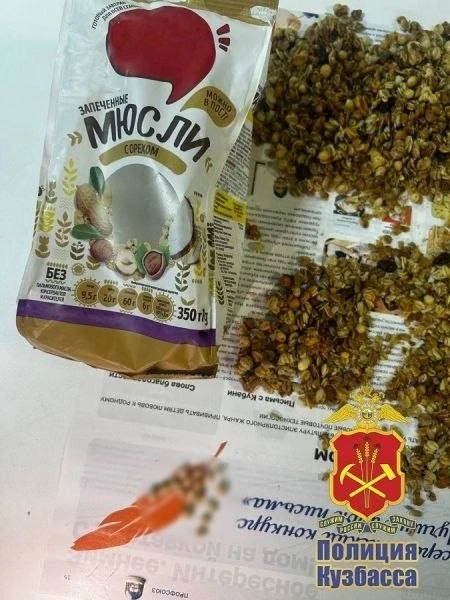 Спрятал карфентанил в мюсли и пошёл на почту — новокузнечанина взяли с поличным

41-летний житель Но