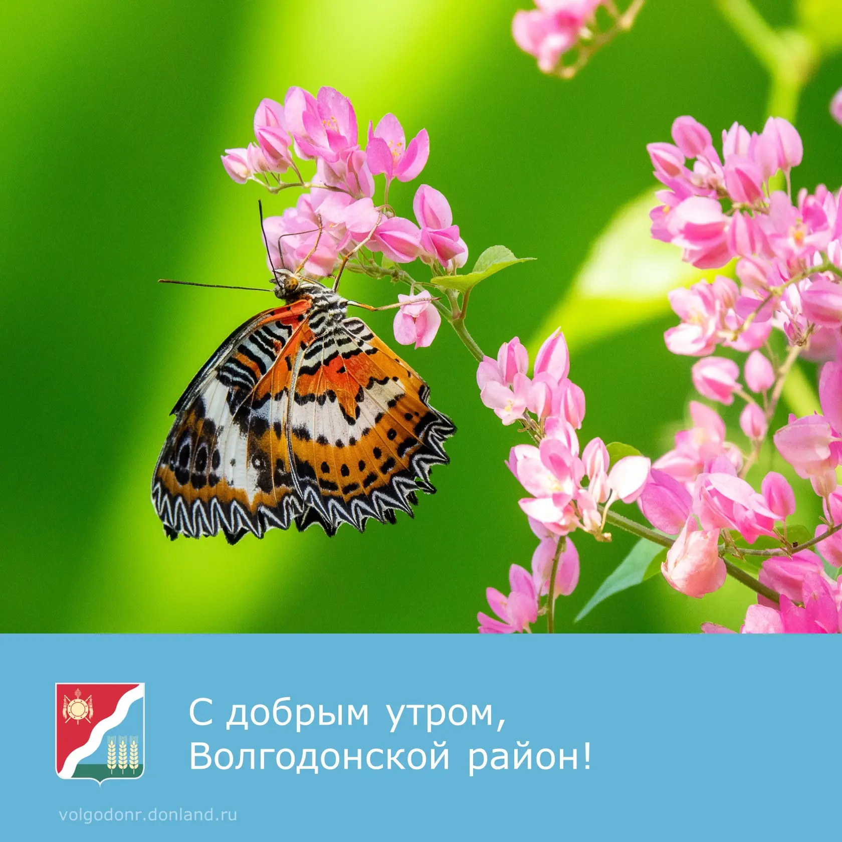 🌞 Доброе утро, уважаемые жители и гости Волгодонского района!

✨Желаем улыбок, приятных встреч, душ