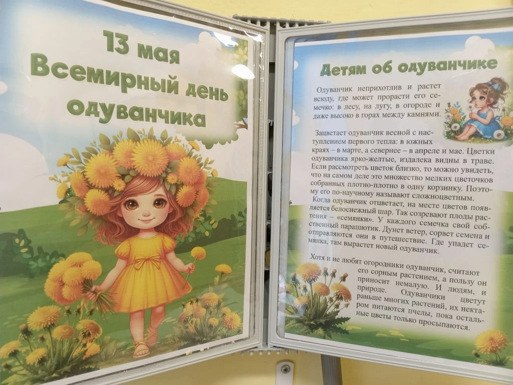 13 мая  - "Всемирный день  одуванчика". С целью расширения представлений об одуванчиках...