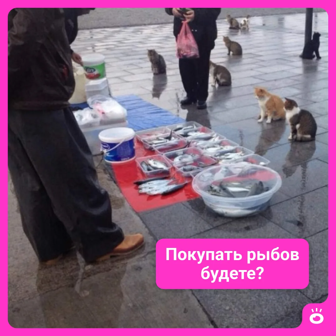 Где в Тюмени нужны менеджеры по продажам? Смотрите ⤵️

▫️ Менеджер по продажам
Опыт: 1–3 года
Зарпла