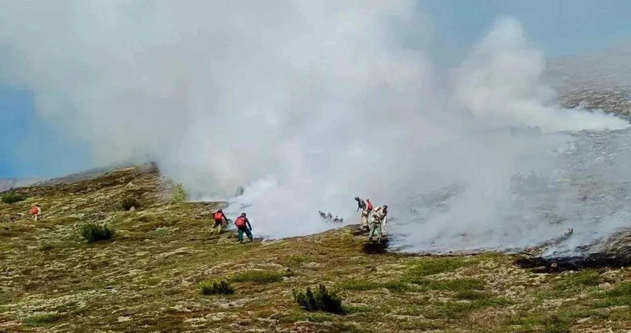 🔥 Кепервеем в безопасности 

Лесной пожар вблизи села Кепервеем локализовали — огонь перестал распр