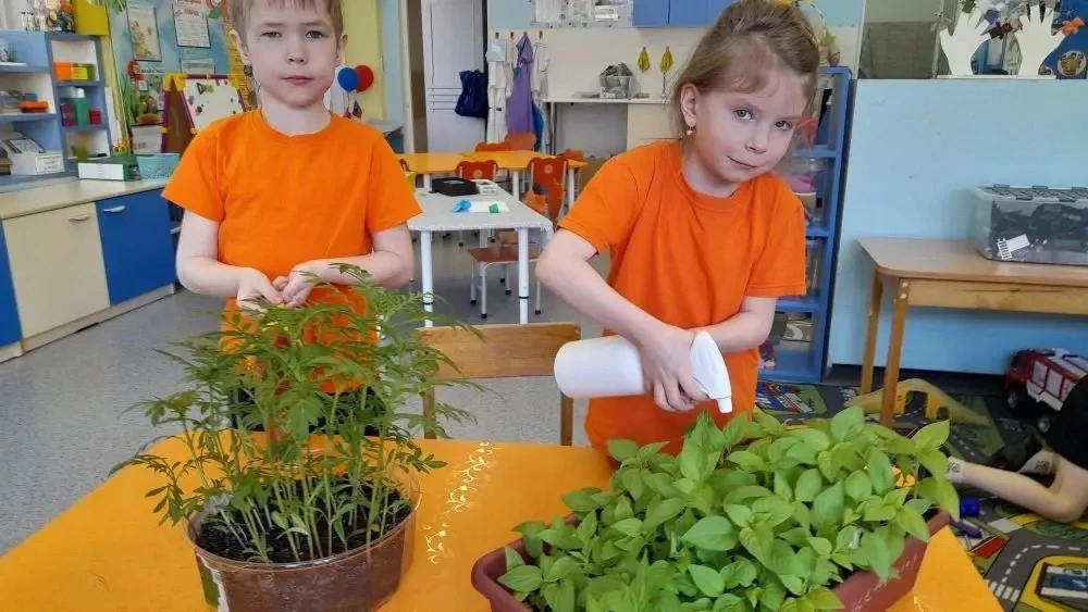 🌿 Тематическая неделя «Сад-огород» в группе «Цветик-Семицветик»🌿