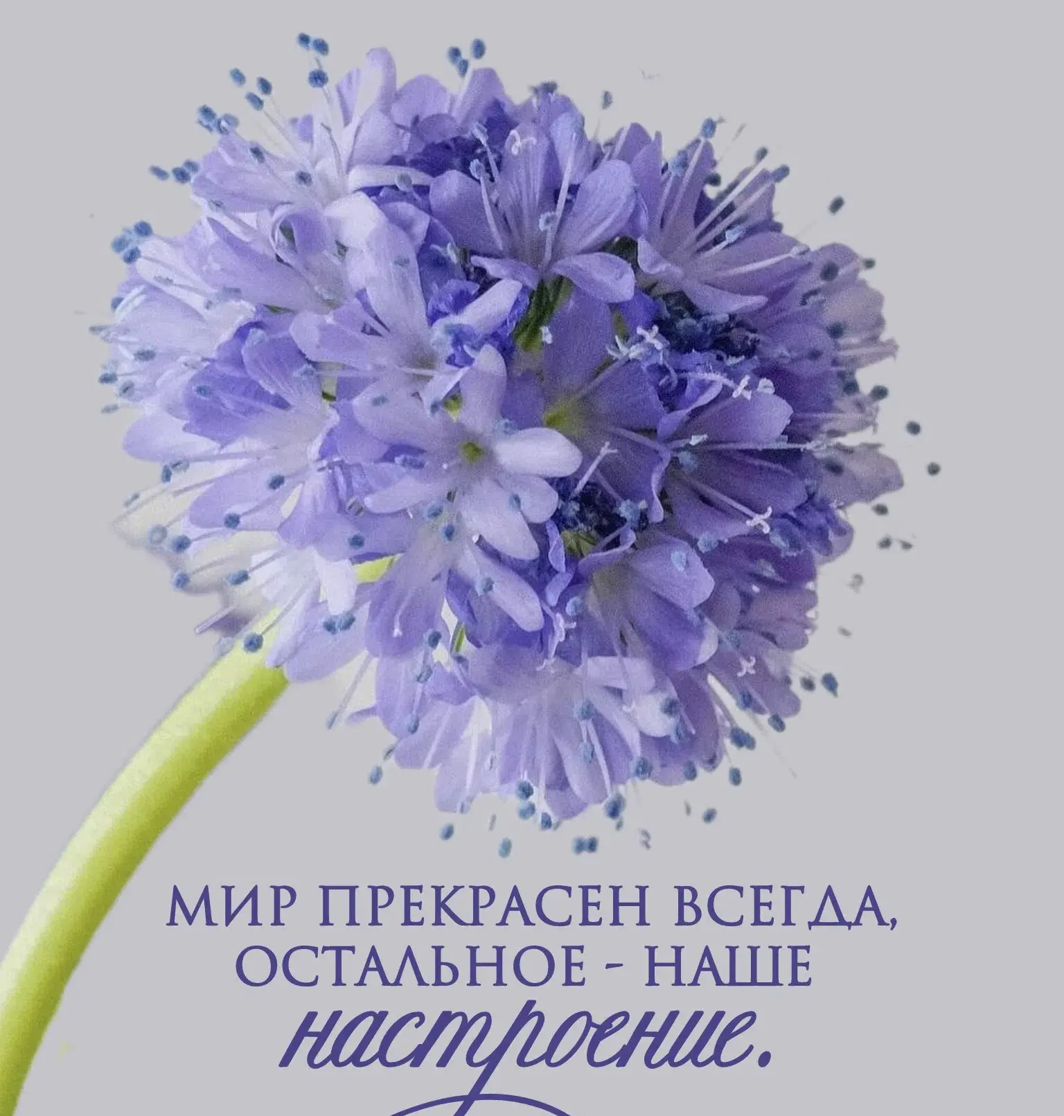 Дарим отличное настроение на наших спектаклях: