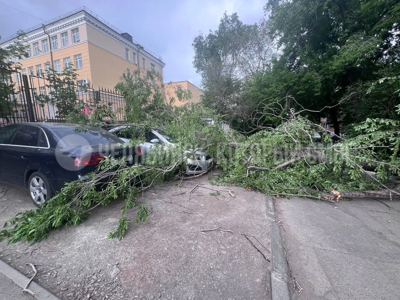 Погода взбесилась в Челябинской области — ветер валит деревья и поднимает столбы пыли.  Челябинцы де
