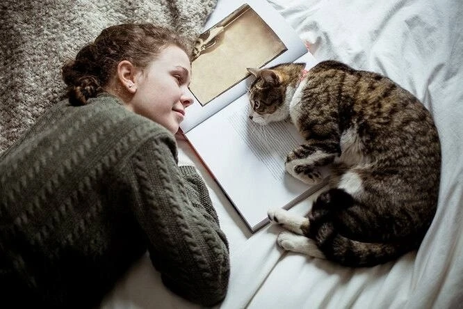 Коты любят своих хозяев сильнее, чем кажется