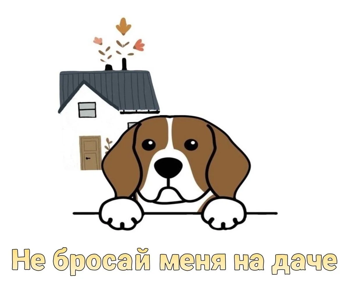 В Югре с 1 июня по 30 сентября проходит ежегодная благотворительная акция «Не бросай меня на даче». 