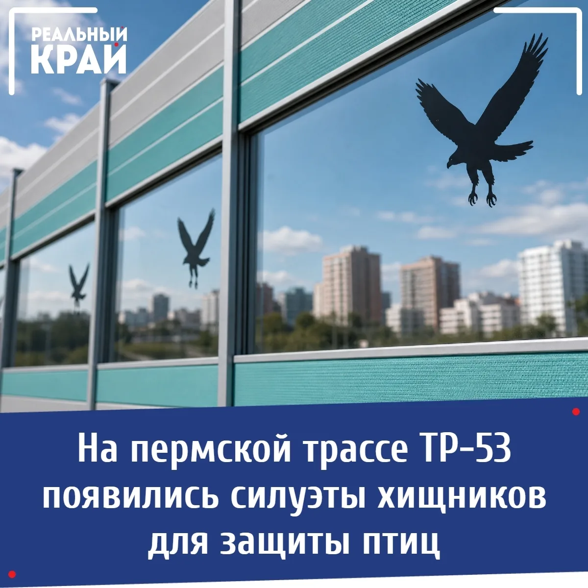 На пермской трассе ТР-53 появились силуэты хищников для защиты птиц 
⠀
В Перми нашли эффективный спо