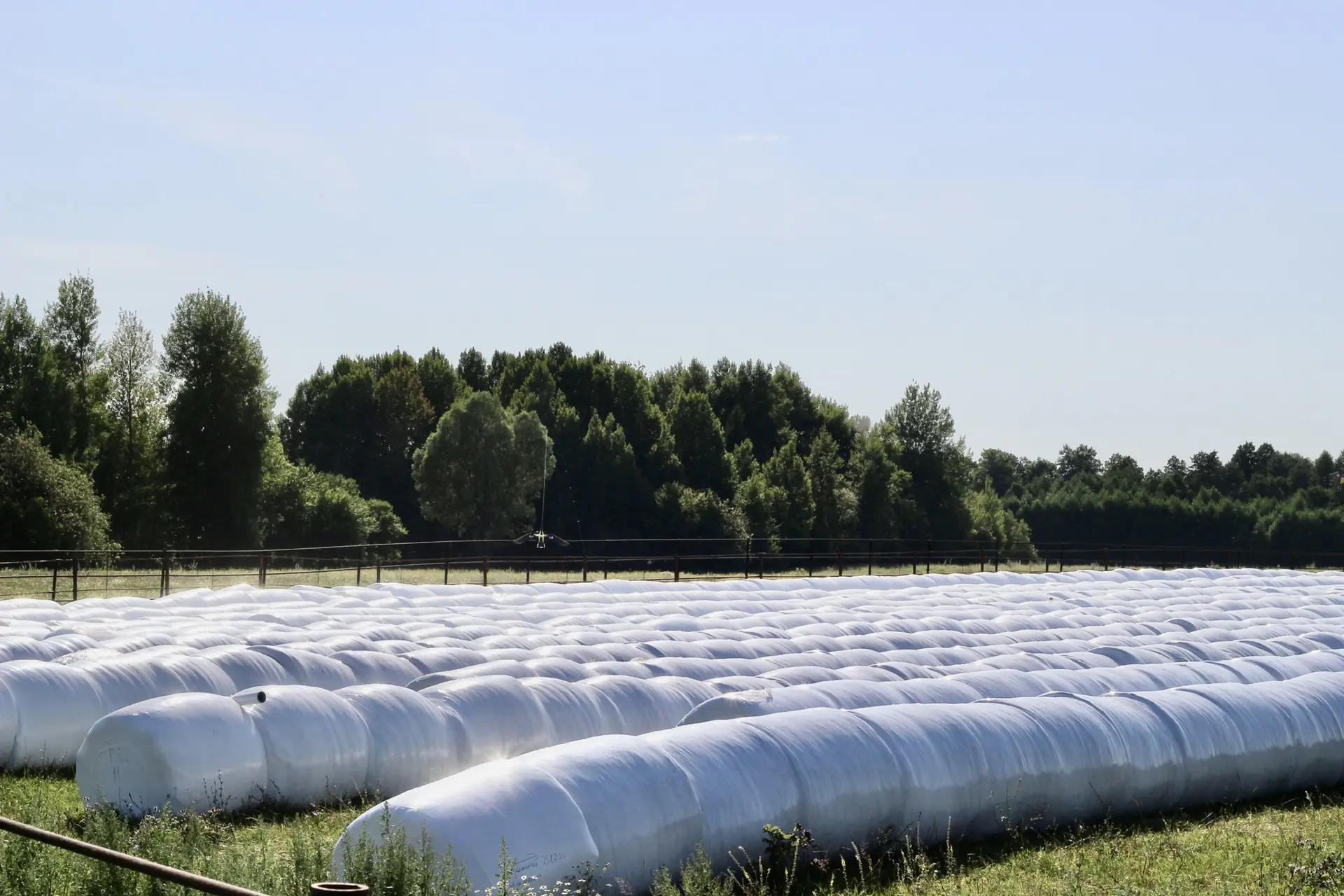 Почему наше сырье самое отборное?