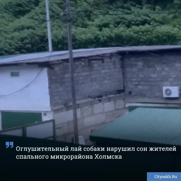 😡 В редакцию Citysakh.ru обратился житель Холмска, который пожаловался на раздражающий...