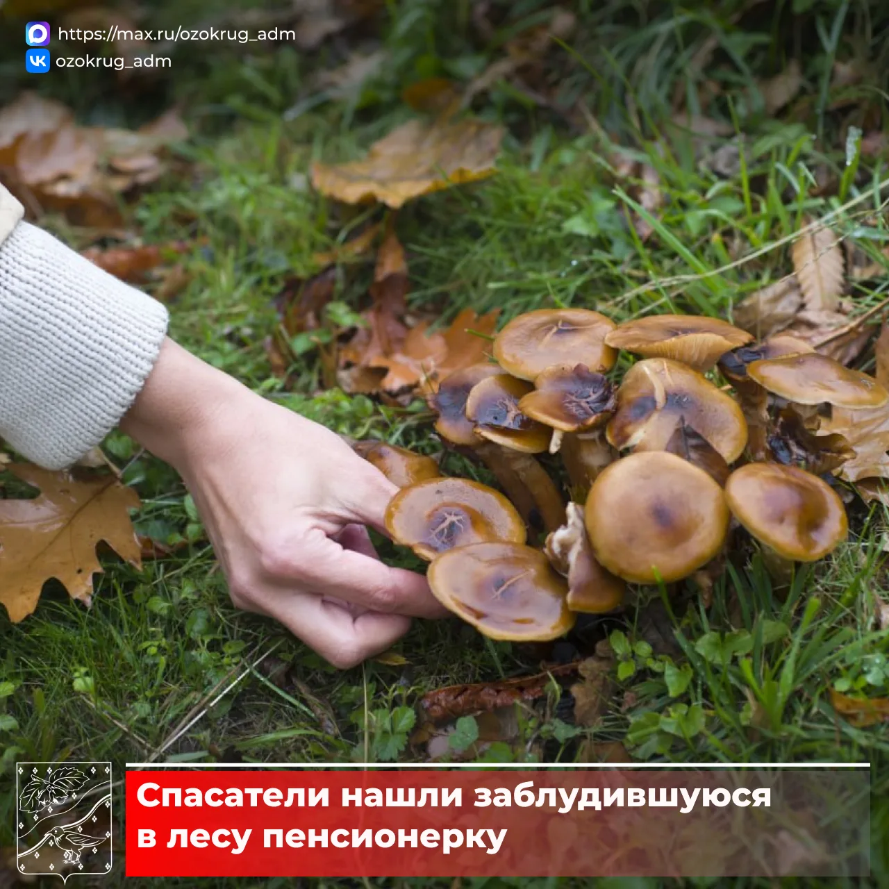 🍄‍🟫 Недалеко от деревни Запутное 70-летняя женщина заблудилась во время сбора грибов....