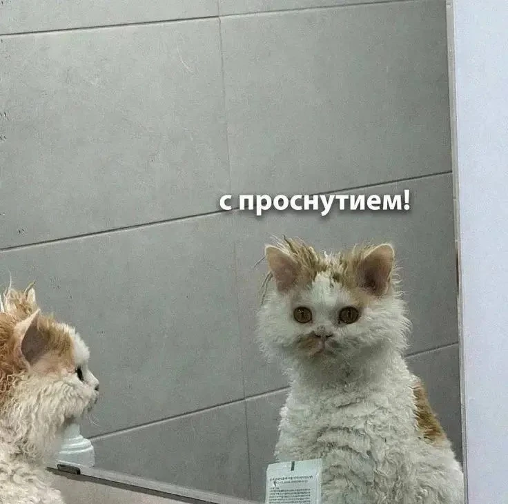 Недосып всего на час может привести к набору веса — показало исследование.