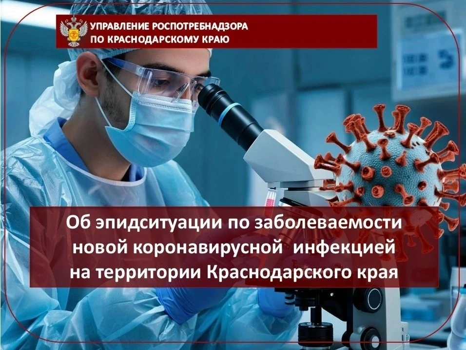 Об эпидситуации по новой коронавирусной инфекции на территории Краснодарского края😷